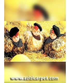 نخ و نقشه جوجه و مرغ