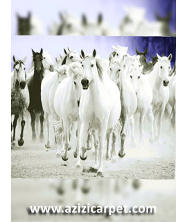 نخ و نقشه حیوانات