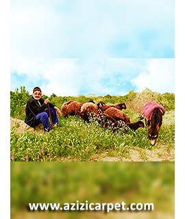 نخ و نقشه عشایر