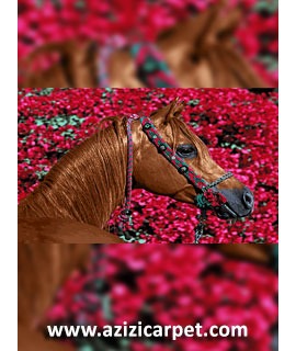 نخ و نقشه حیوانات